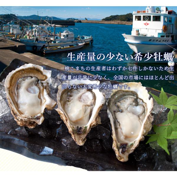 牡蠣 桃こまち カンカン焼き セット M～Lサイズ 30個入 冷凍牡蠣