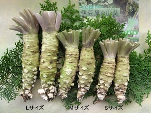 ̳蘆2L