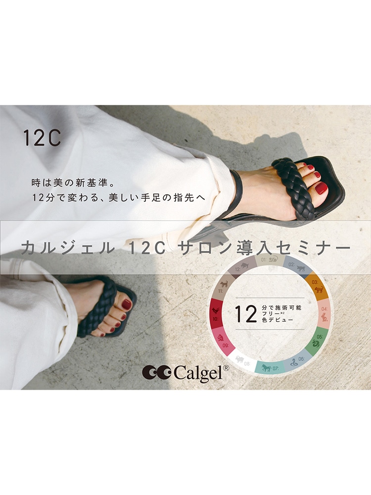 カルジェル12C　導入セミナー