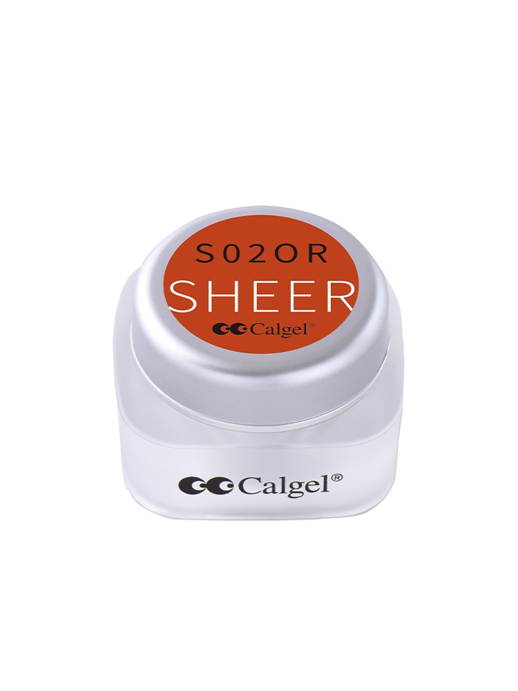 カラーカルジェル プラス  バーントシェンナ2.5g CGS02OR