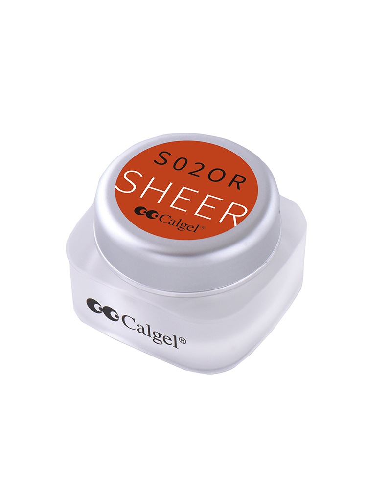 カラーカルジェル プラス  バーントシェンナ2.5g CGS02OR