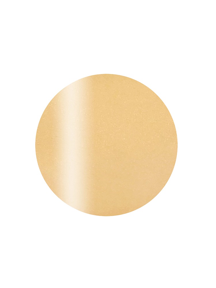 カラーカルジェル プラス パールミモザ2.5g CGP05YE