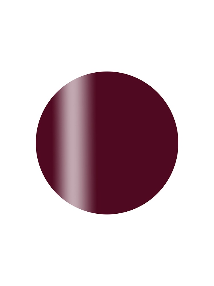 カラーカルジェル　スイートショコラ4g　CGBB06S