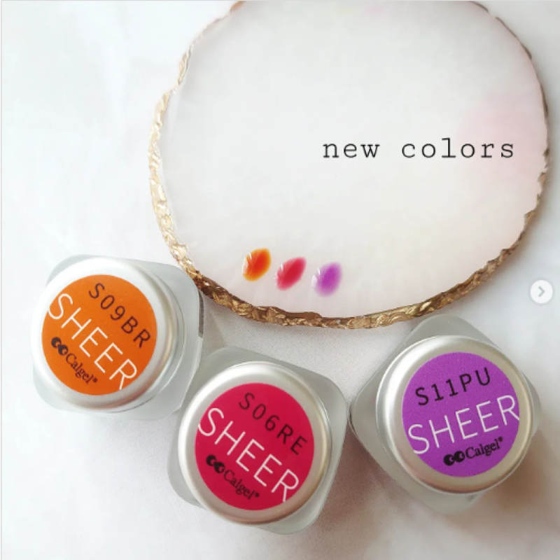 カラーカルジェル プラス モードルビー2.5g CGS06RE