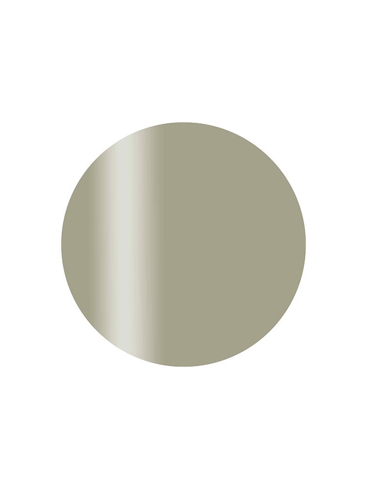 カラーカルジェル プラス ミスティリーフ2.5g CGP13GR