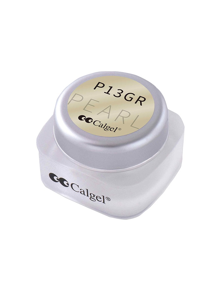 カラーカルジェル プラス ミスティリーフ2.5g CGP13GR