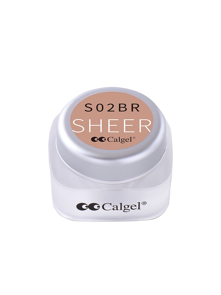 カラーカルジェルプラス ブラージュ2.5g CGS02BR | 商品
