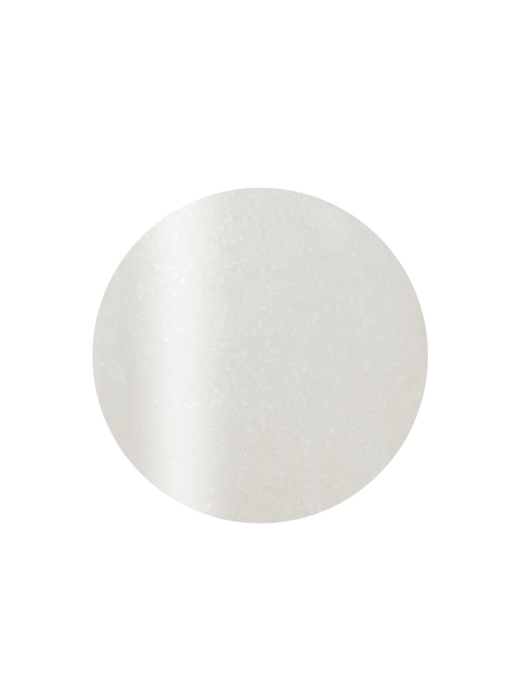 カラーカルジェルプラス グレイッシュパール2.5g CGP04GY