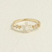 ��� 11�� �ե� ���ȡ��� �ӥ��塼 �ѡ����3color��