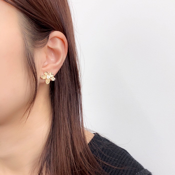 �ڻĤ�鷺���ۥ����� ���㥶�� �ե� �Х����顼