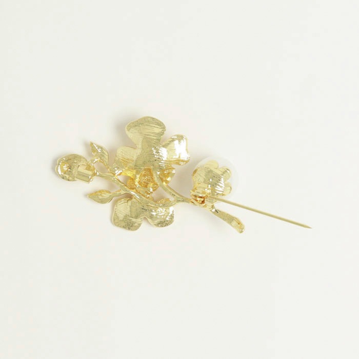 �֥����� �ե� �֡��� �ѡ���