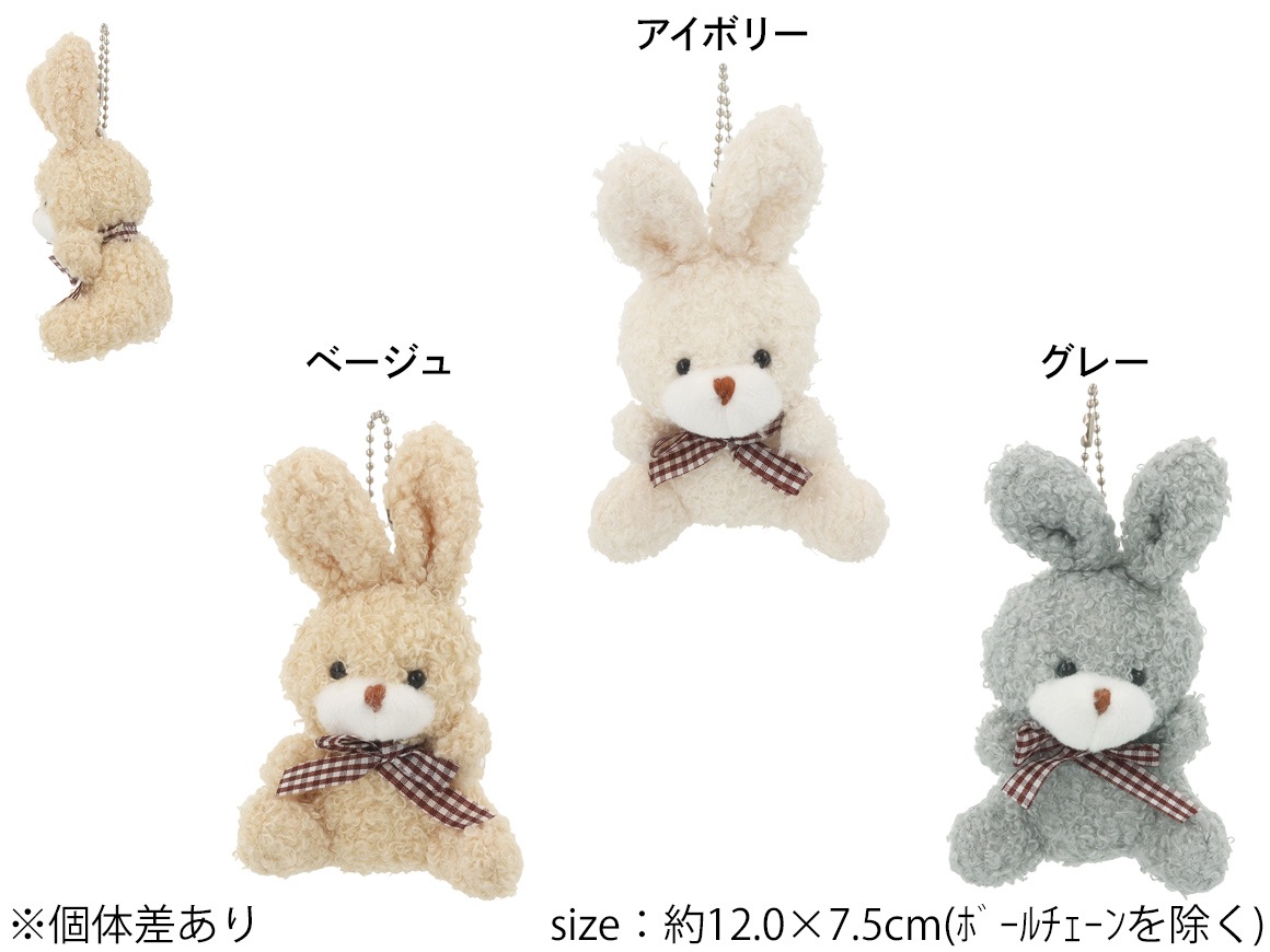 �Хå����㡼�� ������ �̤������ ��ܥ��3color��