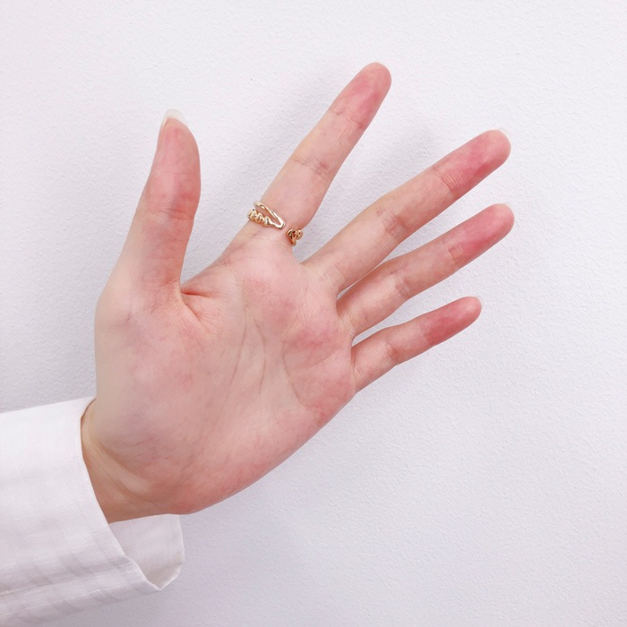 �ڻĤ�鷺���ۥ����ץ��� 11�� ������ �ϡ���