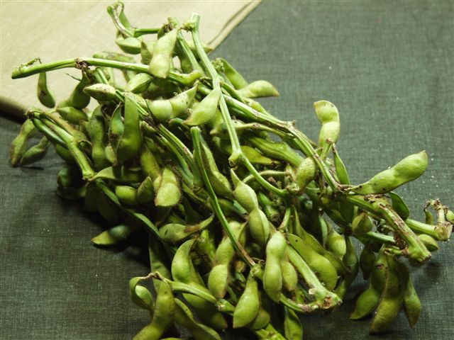 数量限定予約販売丹波篠山特産！丹波の黒豆枝付き！1ｋｇ【100枝限り】【ポイントアップ１０倍です！】【丹波黒豆】【お酒のつまみ、おやつに最高です