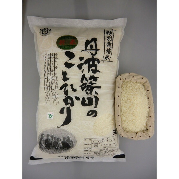 【２０２５年度産新米！特別栽培米！”丹波篠山こしひかり”５kg 【沖縄・離島・北海道別途送料】
