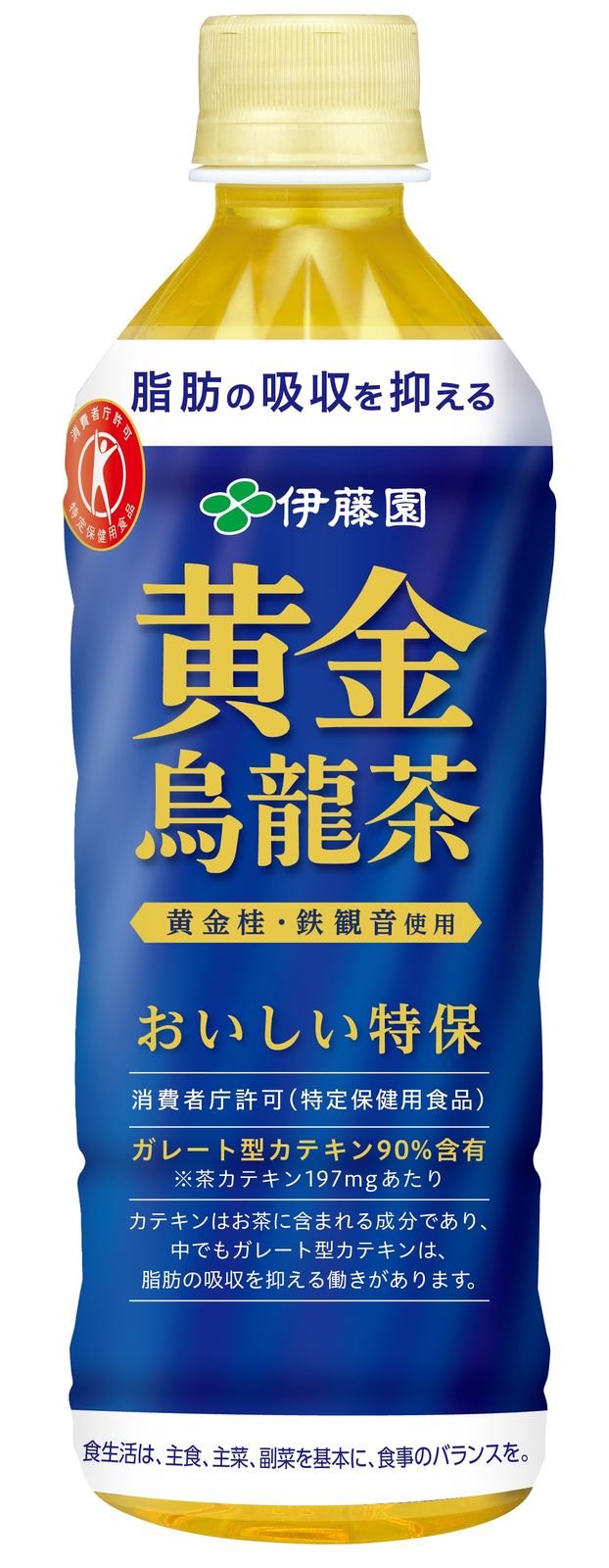 黄金烏龍茶 PET 500ml・【食事と一緒に脂肪の吸収を抑えるおいしい特保の烏龍】