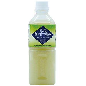 【微生物土壌改良資材（好気性微生物群）】 豊受御古菌 A 強臭タイプ（500ml）【家庭菜園】【肥料】【園芸資材】