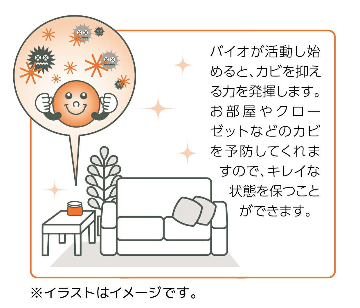 カビのち晴れ　BB菌ゲルタイプ ( 73×73×70mm )【出荷地が同一＆同一商品で複数個ご注文の場合、1個口送料にします】