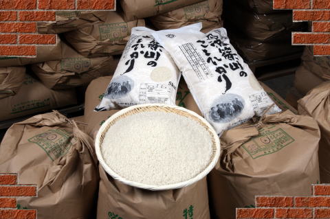 【２０２５年度産新米！ ９月刈り取り分】特別栽培米！”丹波篠山こしひかり”５kg 「土づくり」「化学肥料の低減」「化学合成農薬の低減」栽培。