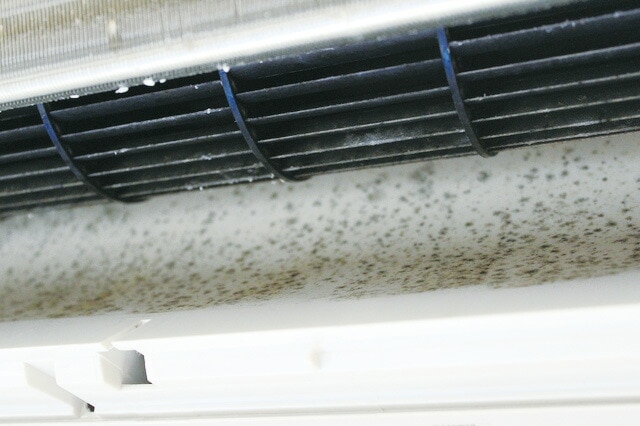 with BIO エアコン用カビ予防剤 ( 6ヶ月 )【出荷地が同一＆同一商品で複数個ご注文の場合、1個口送料にします】