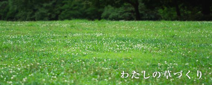 北海道 チーズ 誇り高きチーズ5品・Bセット