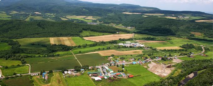 北海道 チーズ 誇り高きチーズ6品Aセット（木箱無） ウオッシュ系[おこっぺ山のチーズ]が丸ごと400g