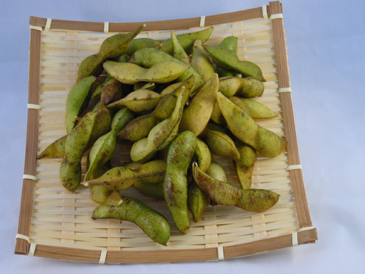 数量限定先着予約販売丹波篠山特産！丹波の黒豆！1ｋｇ（サヤの賞味重量）袋入りです。【丹波黒豆】【丹波 野菜】【やさい】【先着５００袋限り】【お