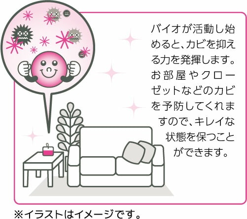 ちょこっと置いて吊るしてBB菌プレミアム ( 30×140×150mm )