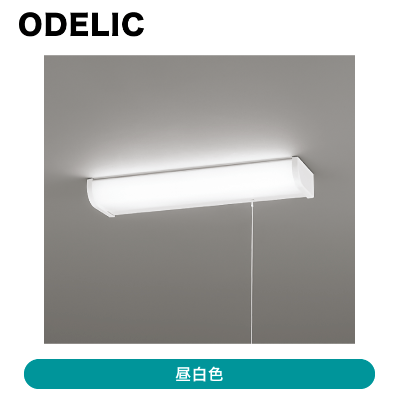 �����ǥ�å� / ή������ / OB 255 283��ȯ���� CJ���š�[ OB255283 ]