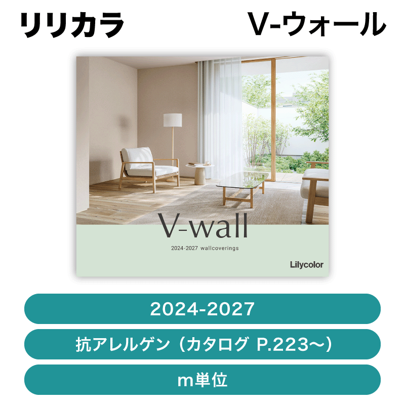 ꥫ / V-(2024-2027)륲mñ̡