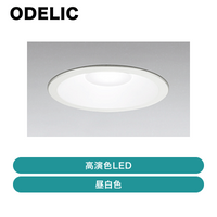 �����ǥ�å� / LED������饤�� / OD261773R ��ȯ���� CJ���š�