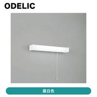 �����ǥ�å� / ή������ / OB 255 180R��ȯ���� CJ���š�[ OB255180R ]