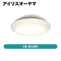 �����ꥹ������� / ������󥰥饤�� Ĵ��Ĵ�� / 6�� / ACL-6DLGR��ȯ���� CJ���š�