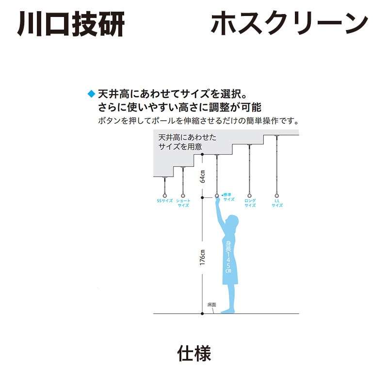 ������� / �ۥ����꡼�� ������ / ��ȯ���� ���������