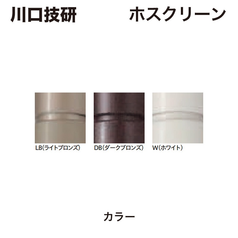 ������� / �ۥ����꡼�� ��ŷ������ / ��ȯ���� ���������