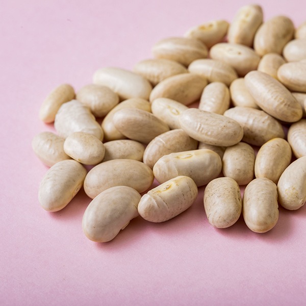 �򤤤󤲤�Ʀ����ڤΥ����� ���ܥ꡼������