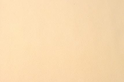 �ե�å��奷�륭��C/#RH9 ������ 117CM���ߣ��᡼�ȥ�