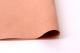 �ե�å��奷�륭��C/#RH7 �Ȥ� 117CM���ߣ��᡼�ȥ�