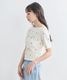 COCODEAL �����ǥ����� ����֥������꡼����T����� 76221305  �ͥ��ݥ�����̵�� /����󥻥������Բľ��� �������ˤ�15���ޤ�¨��ȯ��(���˰ʳ�)��