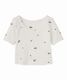 COCODEAL �����ǥ����� ����֥������꡼����T����� 76221305  �ͥ��ݥ�����̵�� /����󥻥������Բľ��� �������ˤ�15���ޤ�¨��ȯ��(���˰ʳ�)��