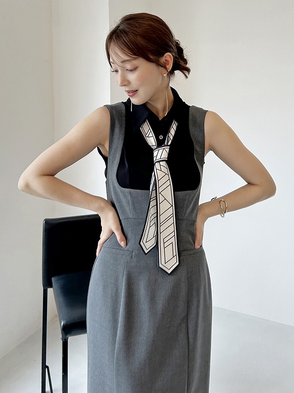 SOLD OUT】【期間限定10%OFF】SNIDEL スナイデル タイトジャンスカ