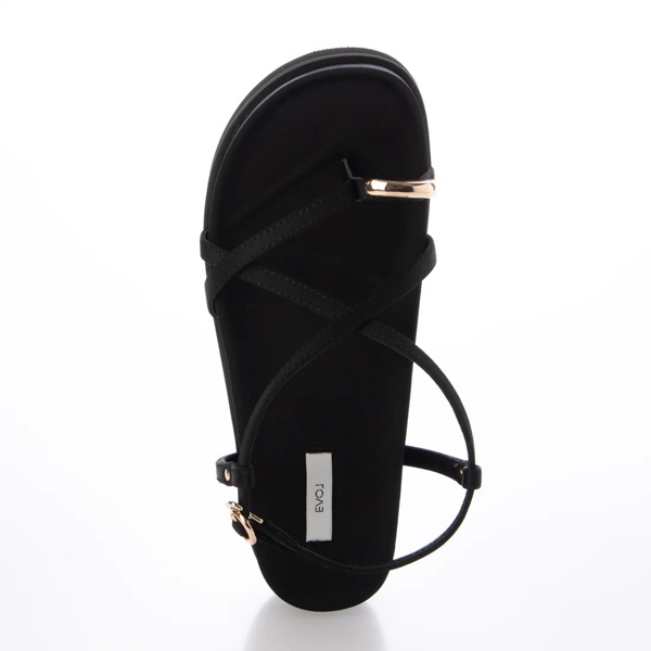 �ڴ��ָ���10%OFF��EVOL �����ܥ�  ���̸��쥯�������ȥ�åץȥ󥰥������ JA5908  /����󥻥������Բľ��� �������ˤ�15���ޤ�¨��ȯ��(���˰ʳ�)��