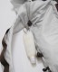 �ں����١�TODAYFUL �ȥ��ǥ��ե�  Useful Sheer Backpack 12611002  /����󥻥������Բľ��� �������ˤ�15���ޤ�¨��ȯ��(���˰ʳ�)��