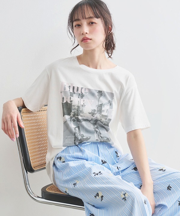 ��6���ָ���10%OFF 5/19(��)10���ޤǡ�COCODEAL �����ǥ����� �ե饤�䡼����ե��å�T����� 76321410  �ͥ��ݥ�����̵�� /����󥻥������Բľ��� �������ˤ�15���ޤ�¨��ȯ��(���˰ʳ�)��