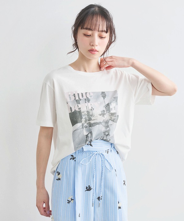 ��6���ָ���10%OFF 5/19(��)10���ޤǡ�COCODEAL �����ǥ����� �ե饤�䡼����ե��å�T����� 76321410  �ͥ��ݥ�����̵�� /����󥻥������Բľ��� �������ˤ�15���ޤ�¨��ȯ��(���˰ʳ�)��