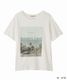 ��6���ָ���10%OFF 5/19(��)10���ޤǡ�COCODEAL �����ǥ����� �ե饤�䡼����ե��å�T����� 76321410  �ͥ��ݥ�����̵�� /����󥻥������Բľ��� �������ˤ�15���ޤ�¨��ȯ��(���˰ʳ�)��
