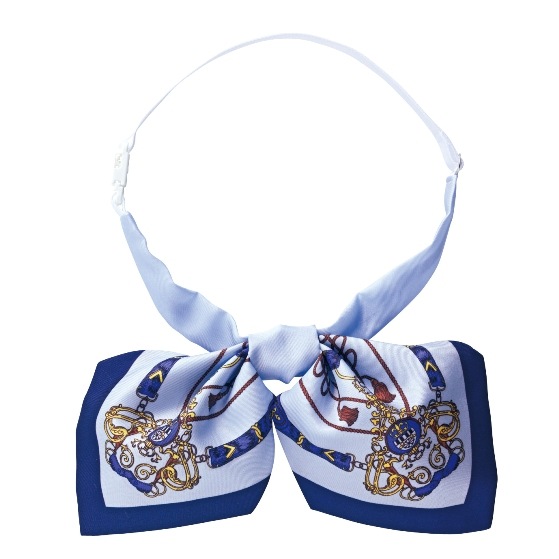 Pieds(�ԥ�) ��ܥ� HCA1820