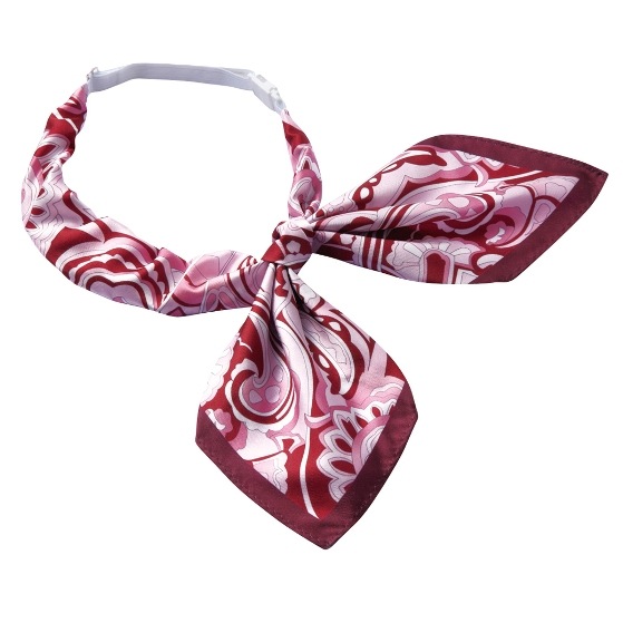 Pieds(�ԥ�) �������ե�ܥ� HCA1900