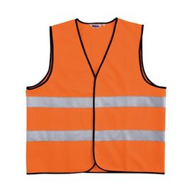 �ӥå��ܡ��� bigborn ���ǧ���ȥꥳ�åȥ٥��� 247