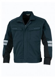 DAIRIKI  Ĺµ֥륾 31702